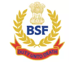 bsf_logo